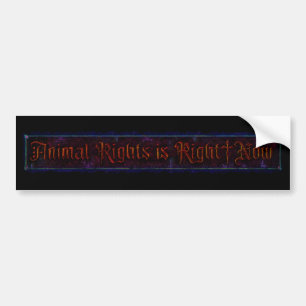 Animal Rights is Right Now Bumper Sticker