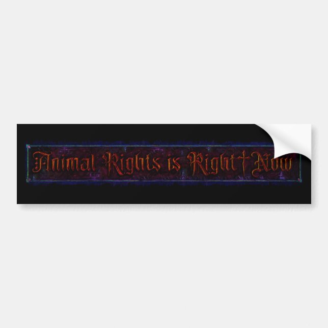 Animal Rights is Right|Now Bumper Sticker (Front)