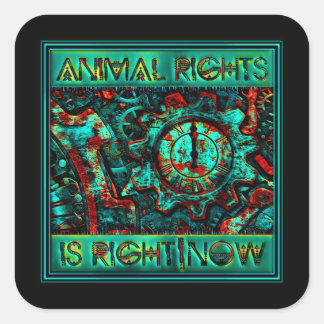 Animal Rights is Right|Now - Square Sticker