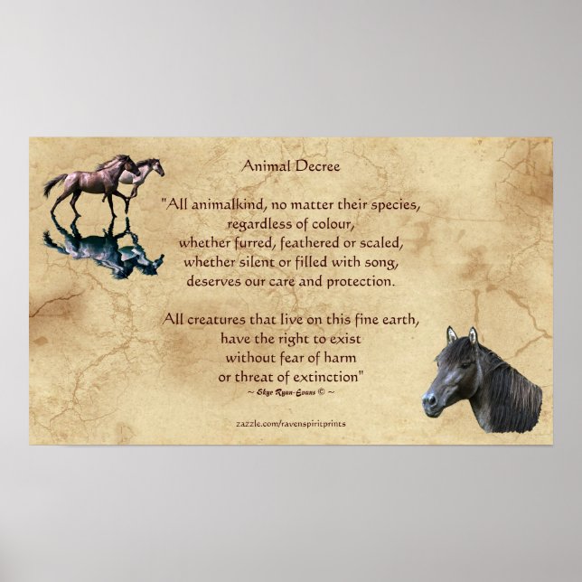 Animal Rights Poem & Spanish Mustangs Art Poster (Front)
