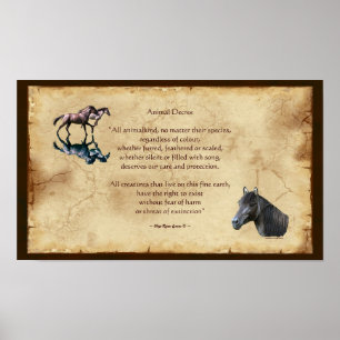 Animal Rights Poem & Spanish Mustangs Art Poster