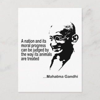 Animal Rights Postcard