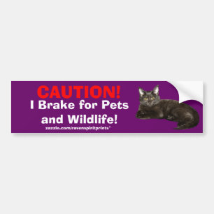 ANIMAL SAFETY Bumper Sticker Collection