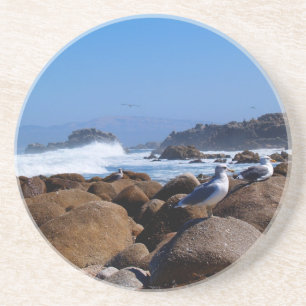 Animal Series---Seagulls on the Rocks Coaster