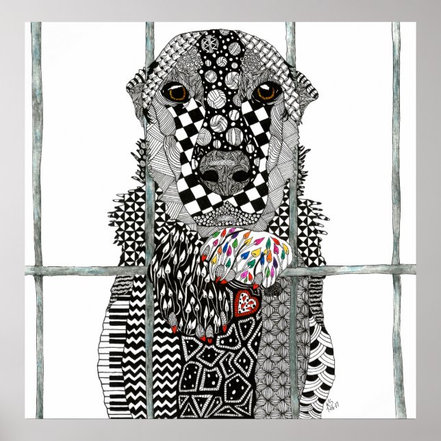 Animal Shelter Dog Poster  24"x 24" (Front)