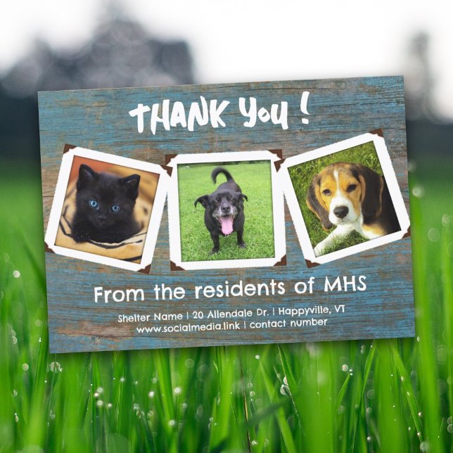 Animal Shelter Thank You Photo Templates Card (Creator Uploaded)