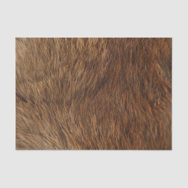 Animal Skin Brown Abstract Bear Minimal Small Tissue Paper (Front)