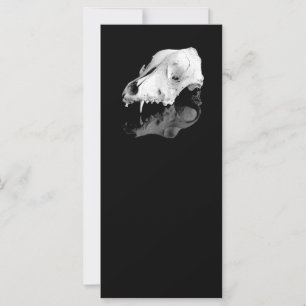 Animal skull