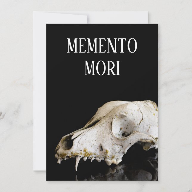 Animal skull (Front)