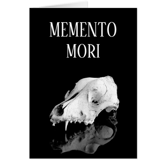 Animal skull (Front)