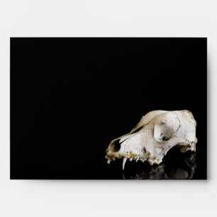 Animal skull envelope