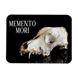 Animal skull magnet