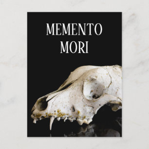 Animal skull postcard