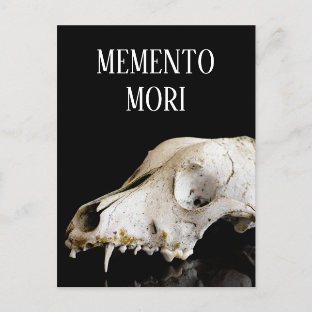 Animal skull postcard (Front)