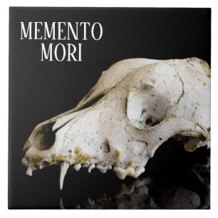 Animal skull tile