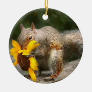 Animal - Squirrel - Summer treats Ceramic Tree Decoration