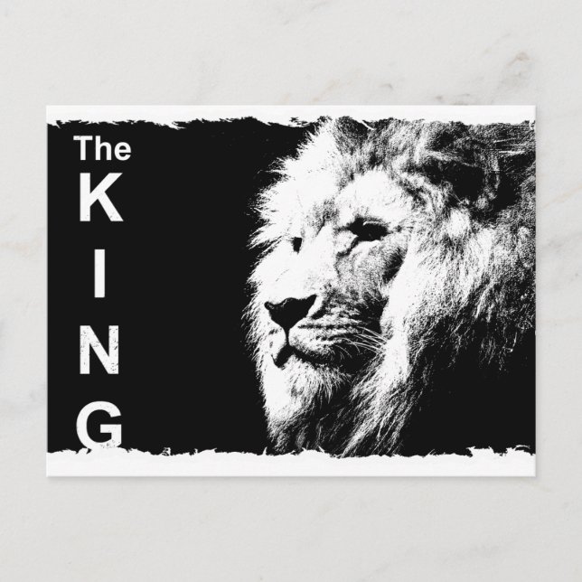 Animal The King Black White Pop Art Template Lion Postcard (Front)