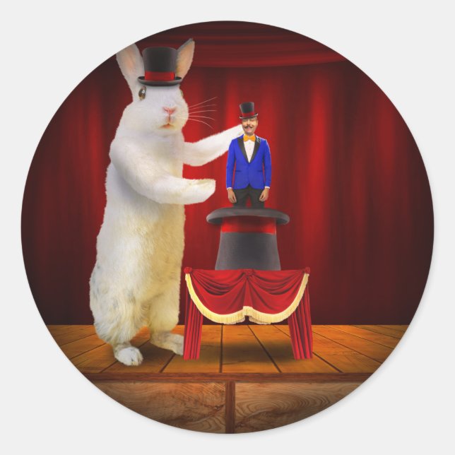Animal - The magic rabbit Classic Round Sticker (Front)