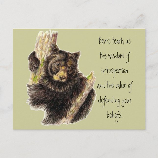 Animal Totem, Bears Nature, Spirit Guide Postcard (Front)
