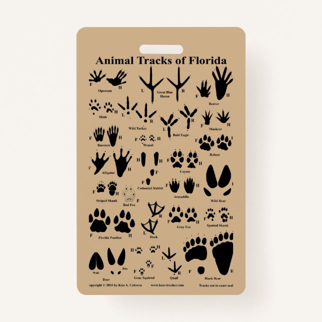 Animal Tracks of Florida ID Badge (Back)