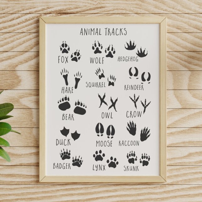 Animal Tracks  Poster (Creator Uploaded)