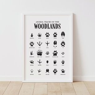 Animal Tracks Woodland Nursery Decor