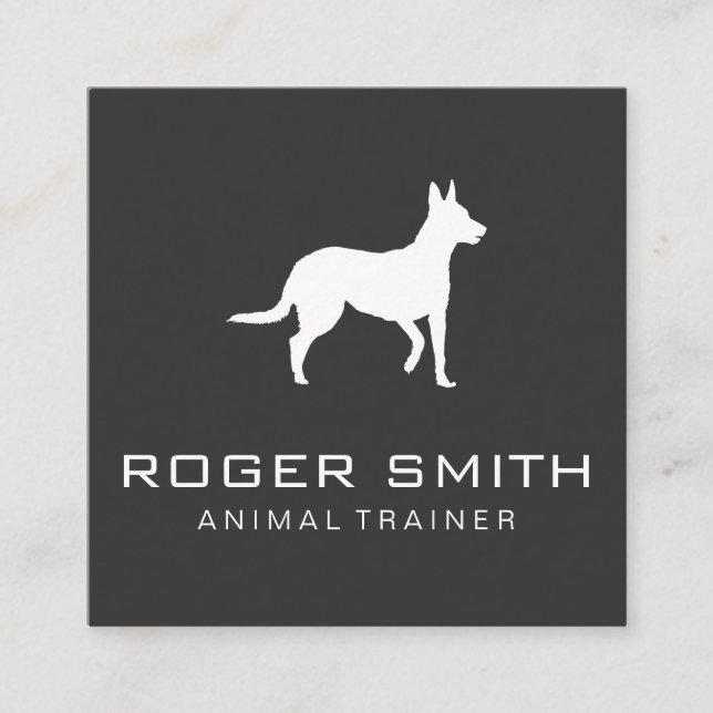 Animal Trainer (grey) Square Business Card (Front)