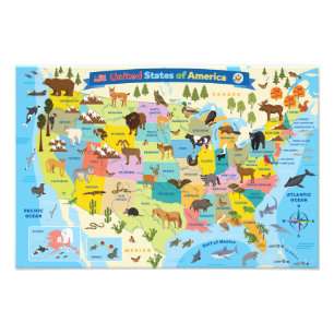 Animal US Map for Kids Photo Print