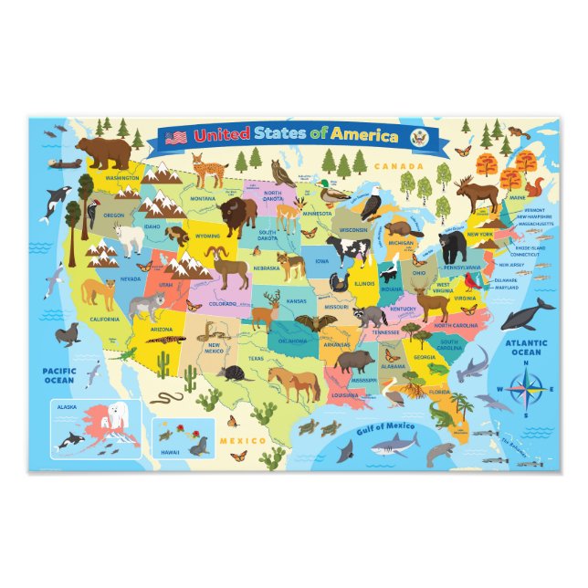 Animal US Map for Kids Photo Print (Front)