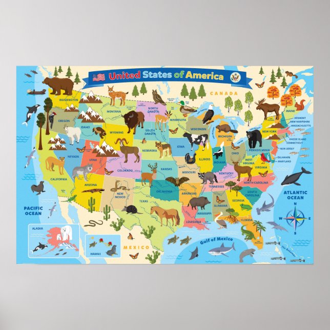Animal US Map for Kids Poster (Front)