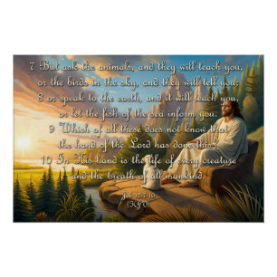 Animal verse poster -  Job 12:7-10