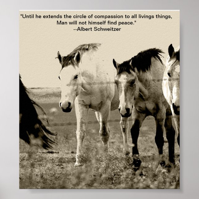 Animal welfare poster III (Front)