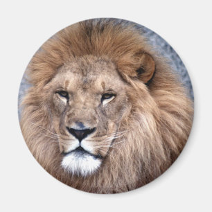 Animal Wild 1 Magnet