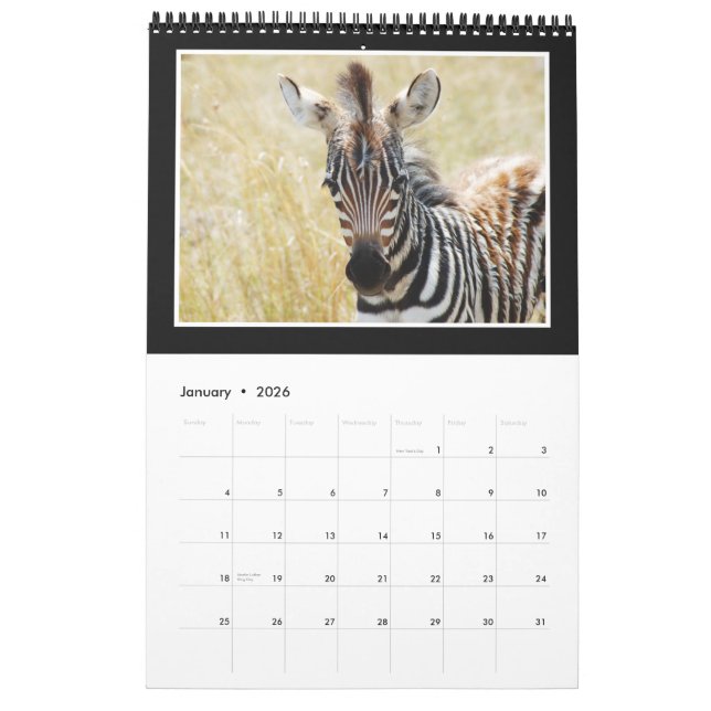 Animal wild Africa 2013 (ANY YEAR) Calendar (Jan 2026)