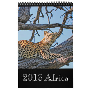 Animal wild Africa 2013 (ANY YEAR) Calendar
