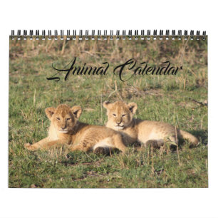 Animal Wild Life Office Home Destiny'S Destiny Calendar