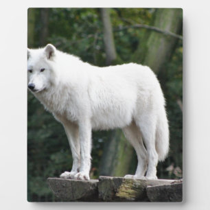 Animal Wolf Nature Peace Love Destiny Plaque