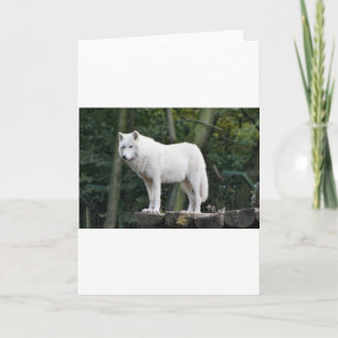 Animal Wolf Nature Peace Love Destiny Thank You Card