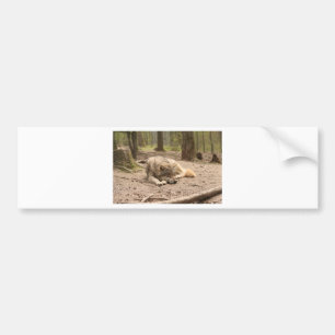 Animal Wolf Peace Love Wild Country Nature Bumper Sticker
