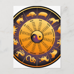 Animal Yin Yang Postcard