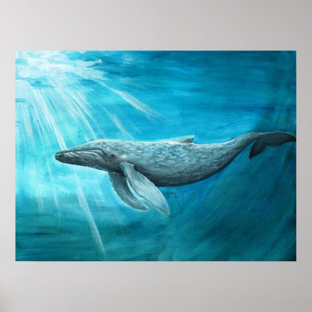 AnimalABC "Blue whale" Poster (Front)