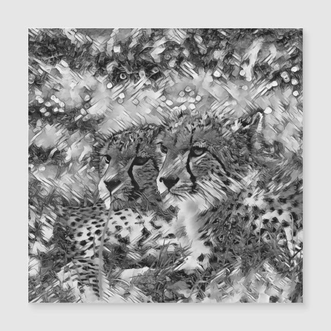 AnimalArtBW_Cheetah_003 (Front)