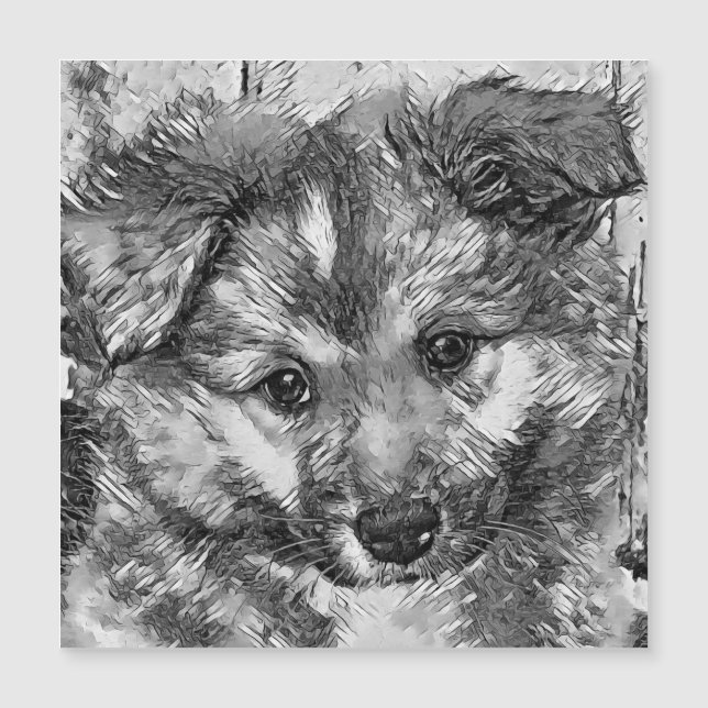 AnimalArtBW_Dog_010 (Front)