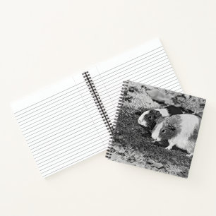 AnimalArtBW_GuineaPig_003 Notebook