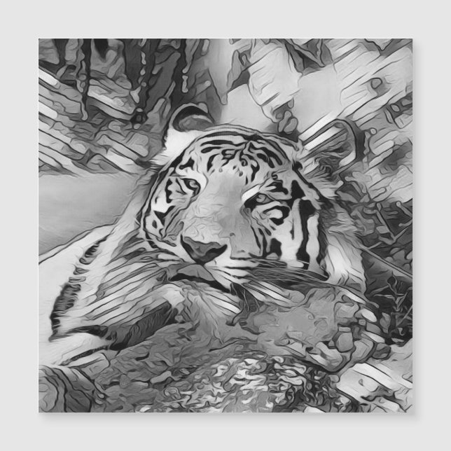 AnimalArtBW_Tiger_002 (Front)