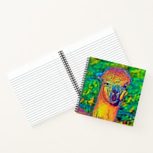 AnimalColor_Alpaca_004 Notebook