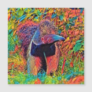 AnimalColor_Anteater_001