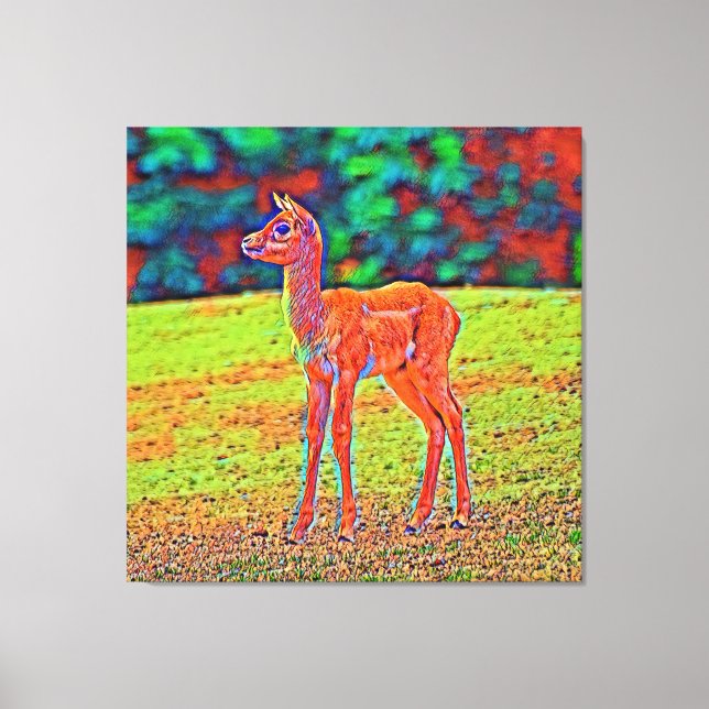 AnimalColor_Antilope_001 Canvas Print (Front)