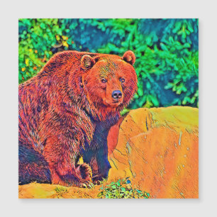 AnimalColor_Bear_001