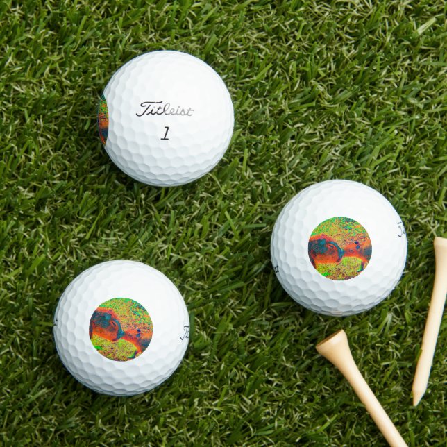 AnimalColor_Capybara_005 Golf Balls (Insitu Grass)